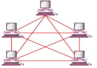 topology_Mesh Topology